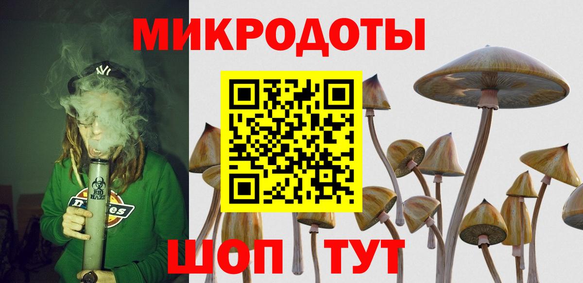 Химки  Псилоцибиновые грибы MAGIC MUSHROOMS  Вход с VPN 